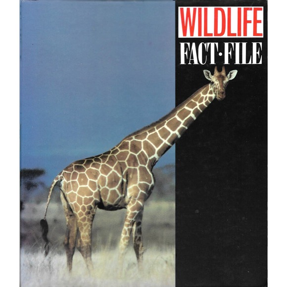 WILDLIFE FACT-FILE 3 RING BINDER - Picture 2 of 3